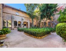 DSC_1537-Editar copia.jpg