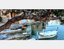 20220513_075859_resized (1).jpg