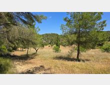 2025-06-08 12.09.04.jpg