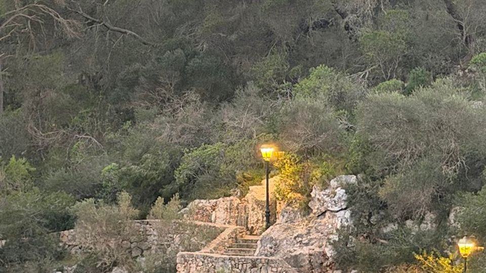 Escalinata i camí de pedra que baixen fins a una petita cala d’aigua tranquil·la, amb murs de contenció de roca i fanals encesos. Al fons hi ha un vessant boscós dens amb arbres i matolls sobre les roques de la costa.