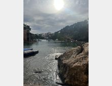 WhatsApp Image 2022-12-13 at 12.41.41 (1).jpeg