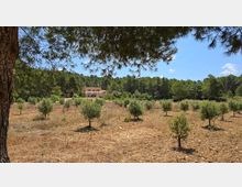 2025-06-08 11.58.52.jpg