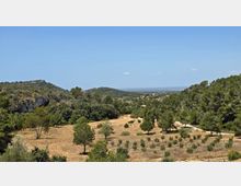 2025-06-08 12.57.53.jpg