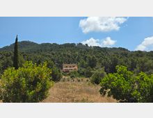 2025-06-08 11.53.15.jpg