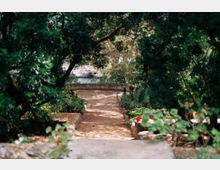 WhatsApp Image 2023-08-23 at 18.39.43.jpeg