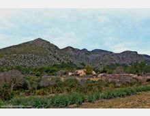 uploads/2017/01/Finca-Es-Galatzo-8.jpg