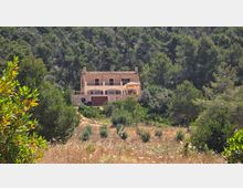 2025-06-08 11.53.22.jpg