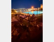 Nächtliche Terrasse mit einem beleuchteten Infinity-Pool hinter einer Glasbrüstung; im Hintergrund sind die Lichter einer Stadt und einer Brücke am Wasser zu sehen. Im Vordergrund befindet sich eine unscharfe, große Blüte als Nahaufnahme.