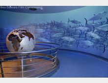 uploads/2015/05/Palma-Aquarium-Internal-Areas-1.jpg
