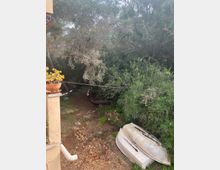 WhatsApp Image 2022-12-13 at 12.41.49 (1).jpeg