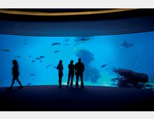 uploads/2015/05/Palma-Aquarium-Internal-Areas-13.jpg