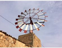 IMG_4620 Carola .jpg