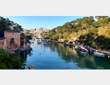 20220513_075946_resized (1).jpg